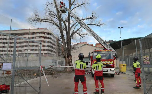 Alerta naranja por nieve y viento en toda la provincia de Palencia