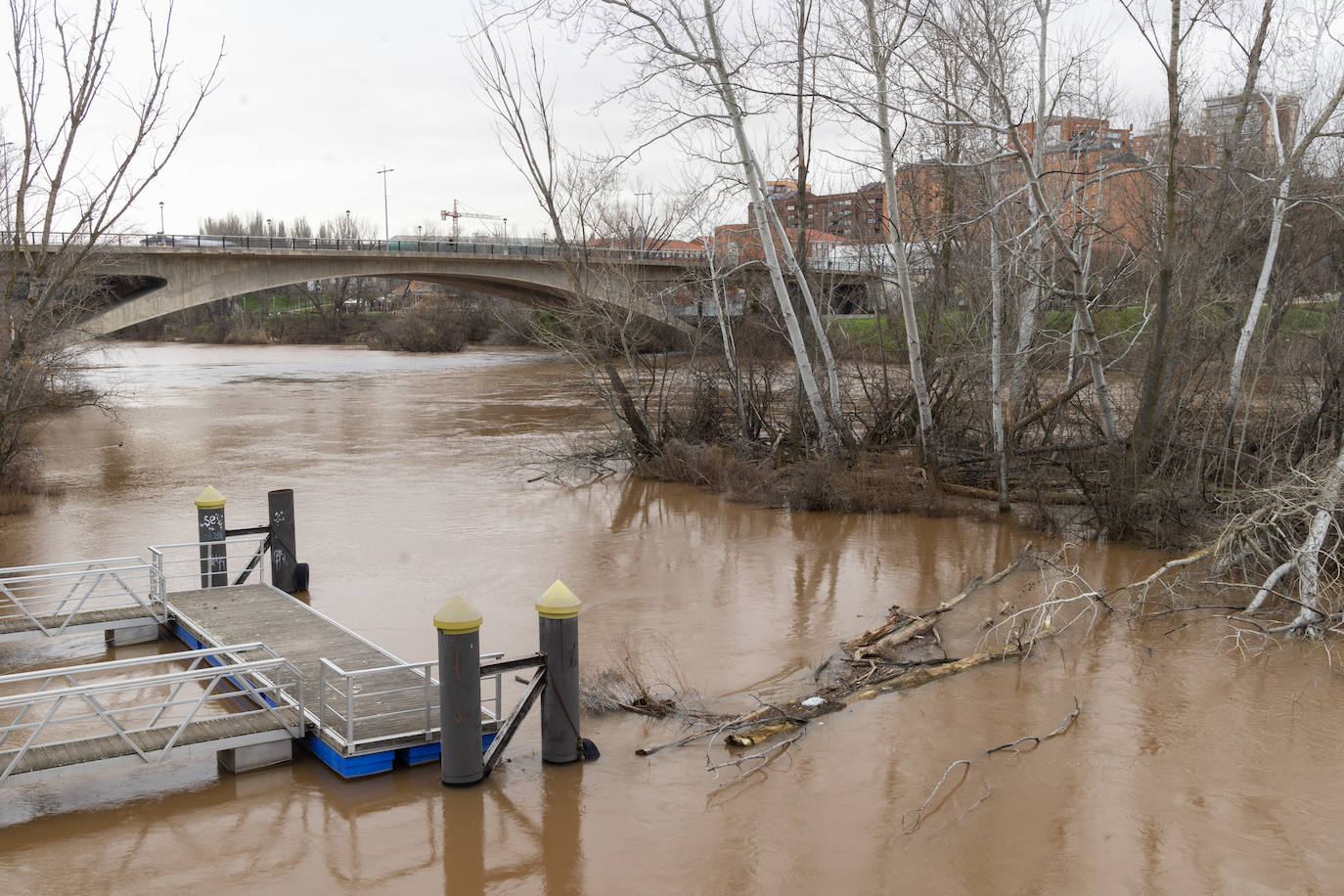 Fotos: El Pisuerga alcanza su caudal pico del año a su paso por Valladolid