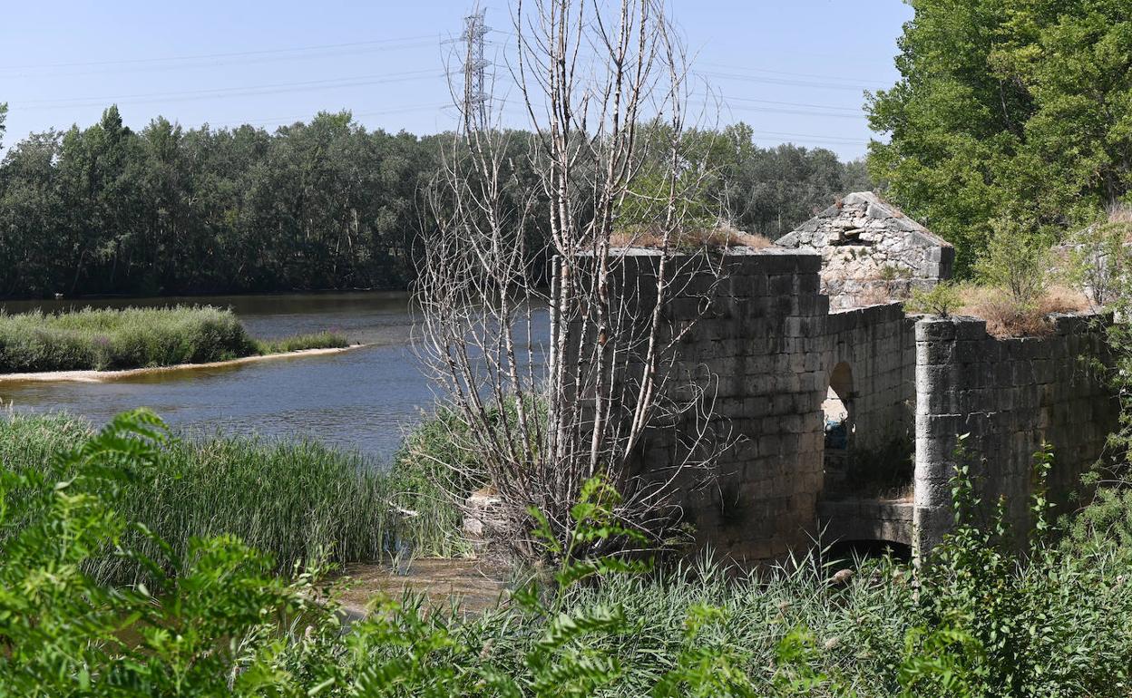 Paraje del Duero a su paso por Tordesillas. 