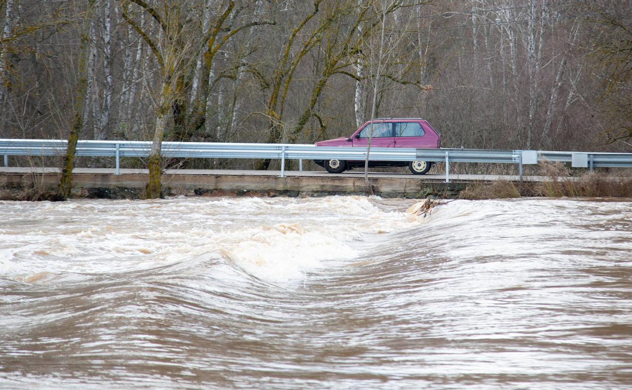 El río Duero a su paso por tierras sorianas esta semana.