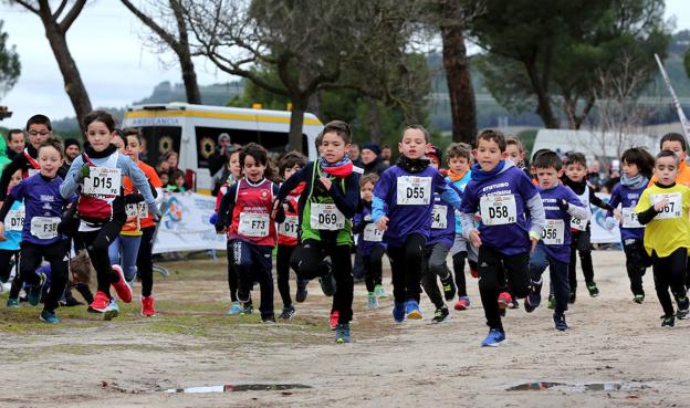 Imagen principal - Juegos Escolares: El frío no quita las ganas de saborear el campo a través en Pedrajas