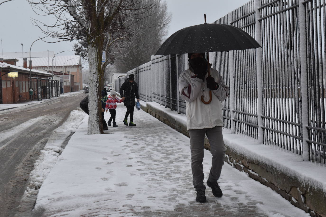 Fotos: Segunda nevada en 2023 en la provincia de Palencia