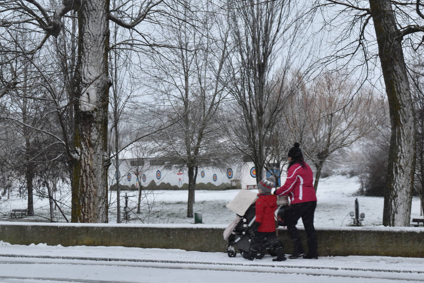 Fotos: Segunda nevada en 2023 en la provincia de Palencia