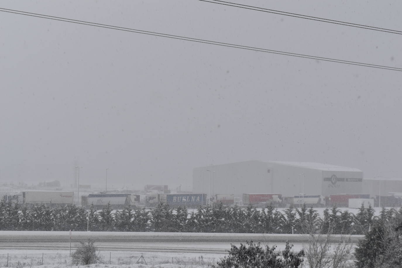 Fotos: Segunda nevada en 2023 en la provincia de Palencia