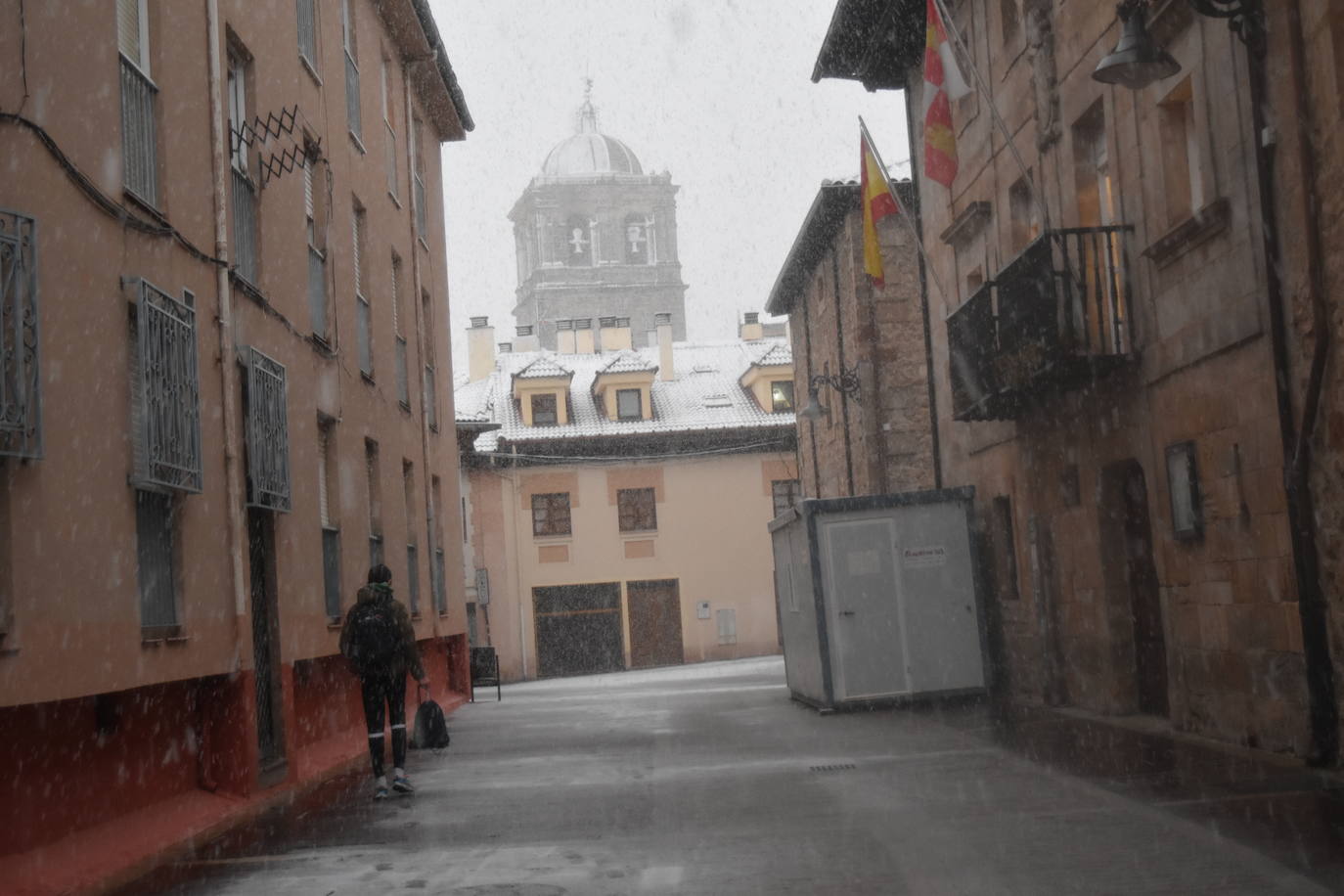 Fotos: Segunda nevada en 2023 en la provincia de Palencia