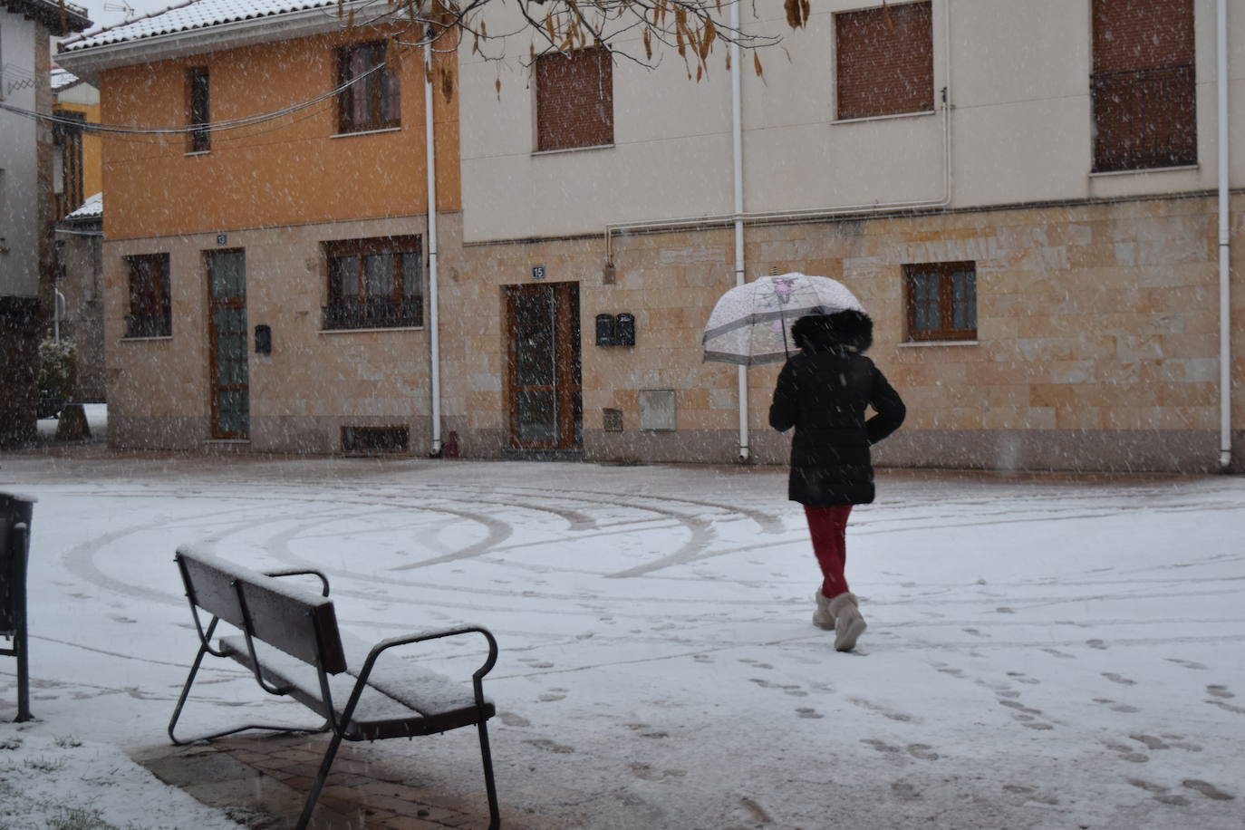 Fotos: Segunda nevada en 2023 en la provincia de Palencia