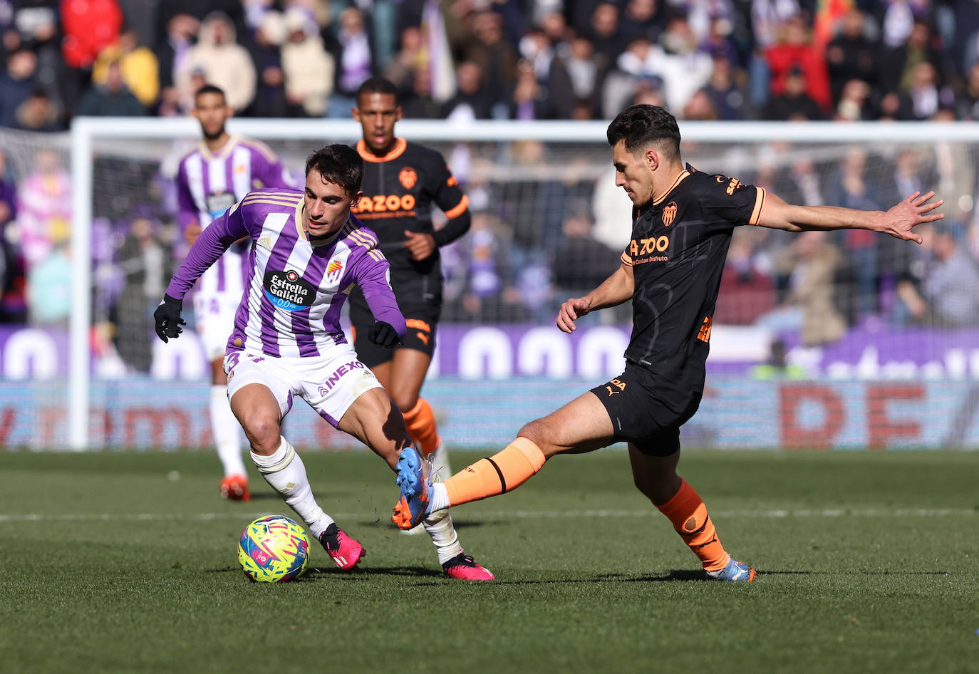 Fotos: El partido entre el Real Valladolid y el Valencia, en imágenes (2/2)