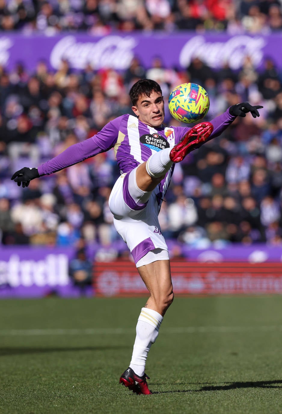 Fotos: El partido entre el Real Valladolid y el Valencia, en imágenes (2/2)