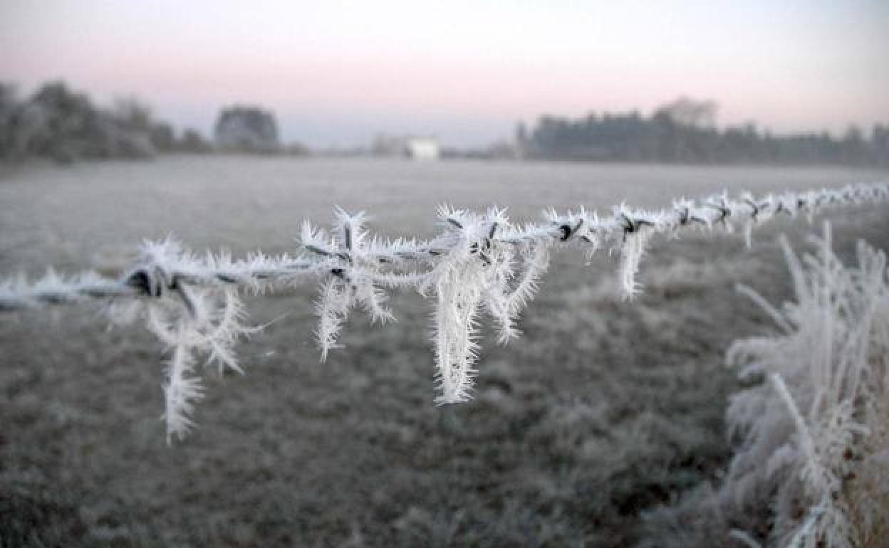 El segundo punto más frío de España está en Castilla y León: hasta -11 grados