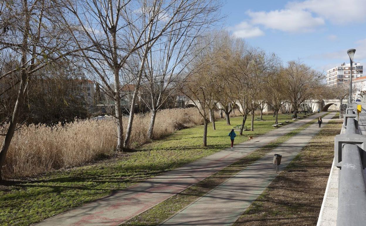 Carriles bici y de paseo junto al Puente Mayor.