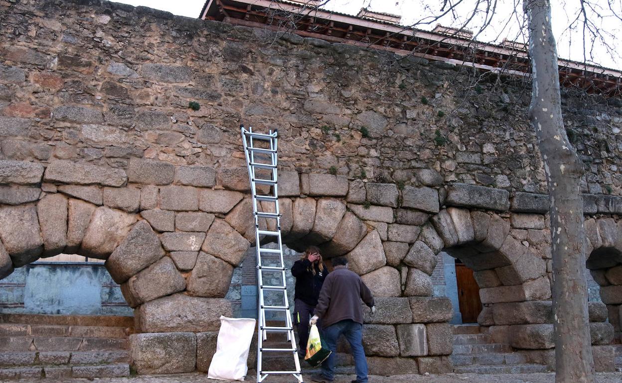 Comienza la retirada de la vegetación del Acueducto de Segovia