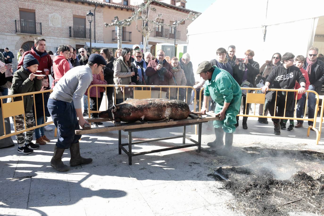 Fotos: Fiesta de la Matanza del cerdo en Simancas