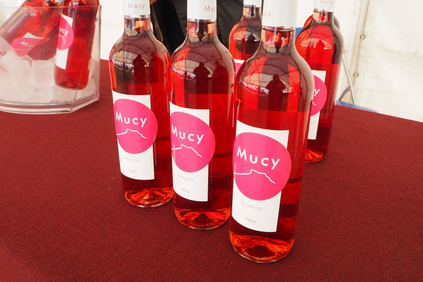 Subasta de la taza de plata, emblema de Mucientes, durante la Fiesta del Primer Vino 