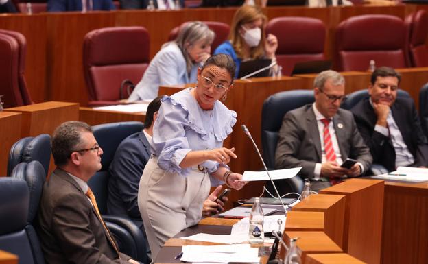 María González Corral, consejera de Movilidad., en un pleno de las Cortes de Castilla y León.