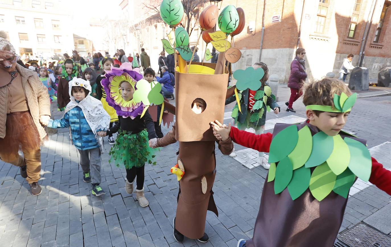 Fotos: El cambio climático en el colegio Jorge Manrique y el traje palentino, en Filipenses