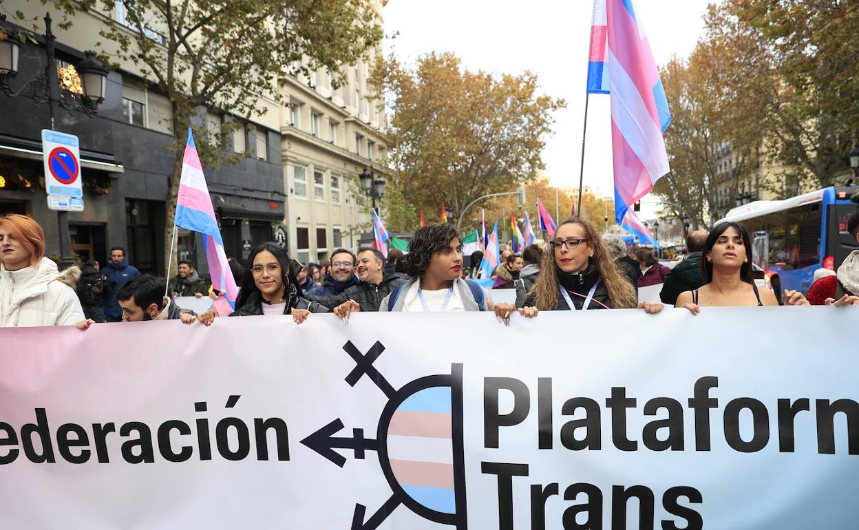 Manifestación para reivindicar la ley trans. 