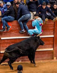 Imagen secundaria 2 - Dos heridos, uno por asta de toro, en el primer encierro del Carnaval de Ciudad Rodrigo