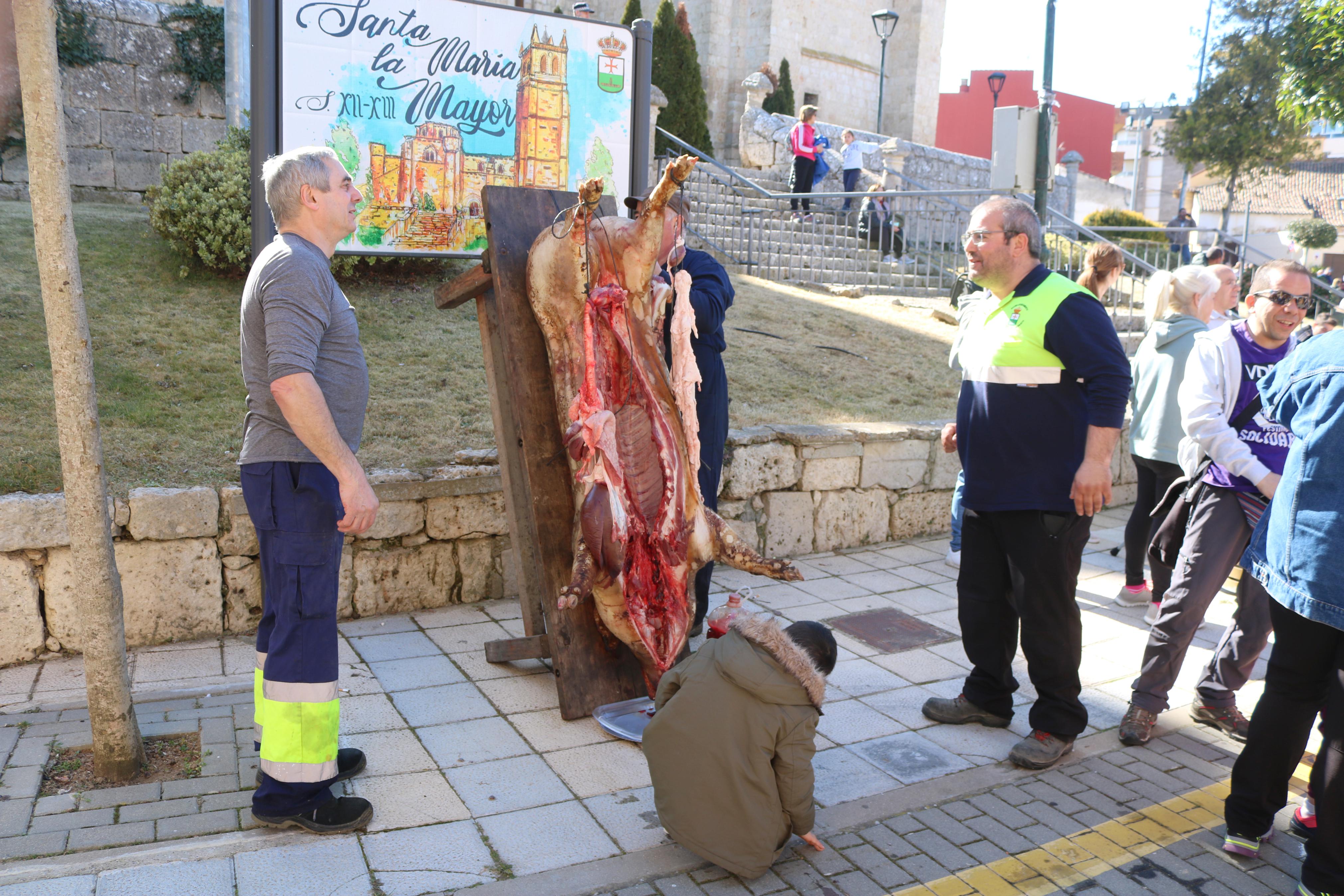 Villamuriel de Cerrato vivió una jornada festiva con música, danzas y gastronomía