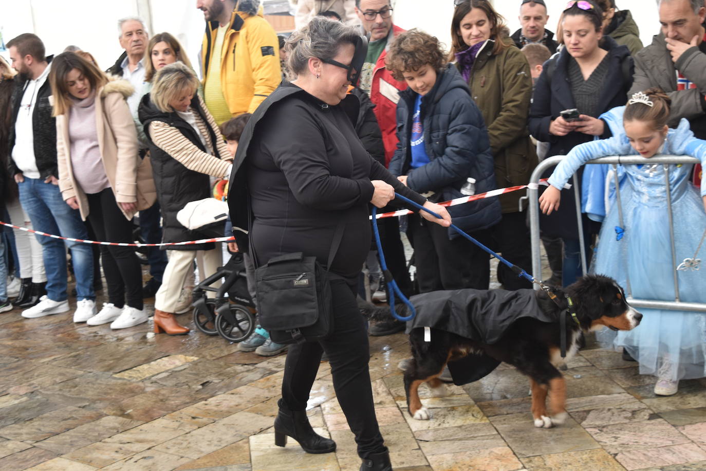 Fotos: Las mascotas se disfrazan en el Carnaval de la Galleta