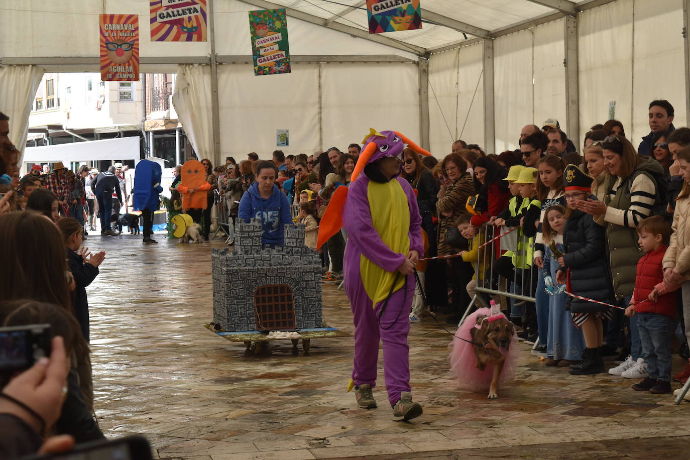 Fotos: Las mascotas se disfrazan en el Carnaval de la Galleta