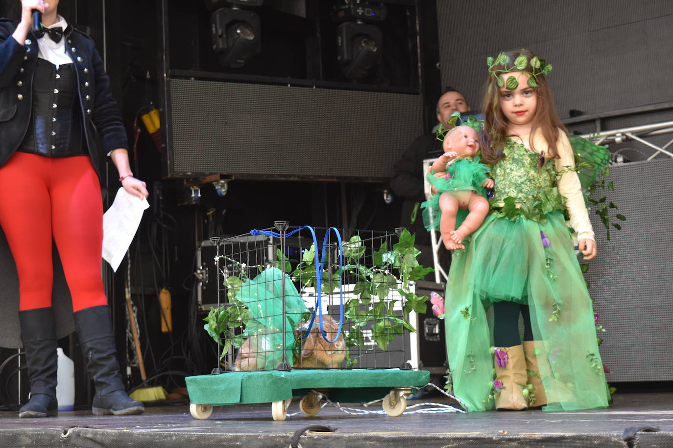 Fotos: Las mascotas se disfrazan en el Carnaval de la Galleta