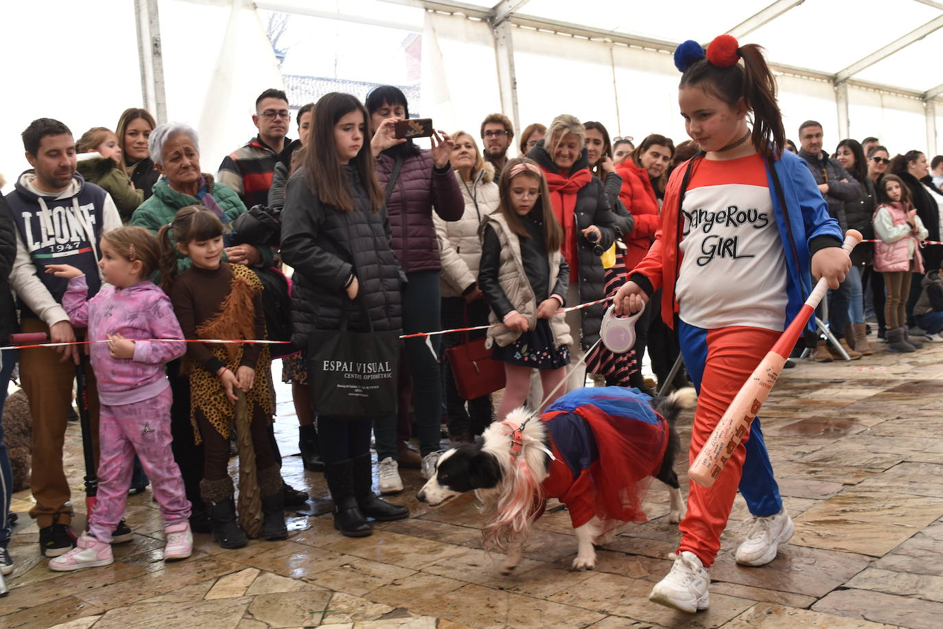 Fotos: Las mascotas se disfrazan en el Carnaval de la Galleta