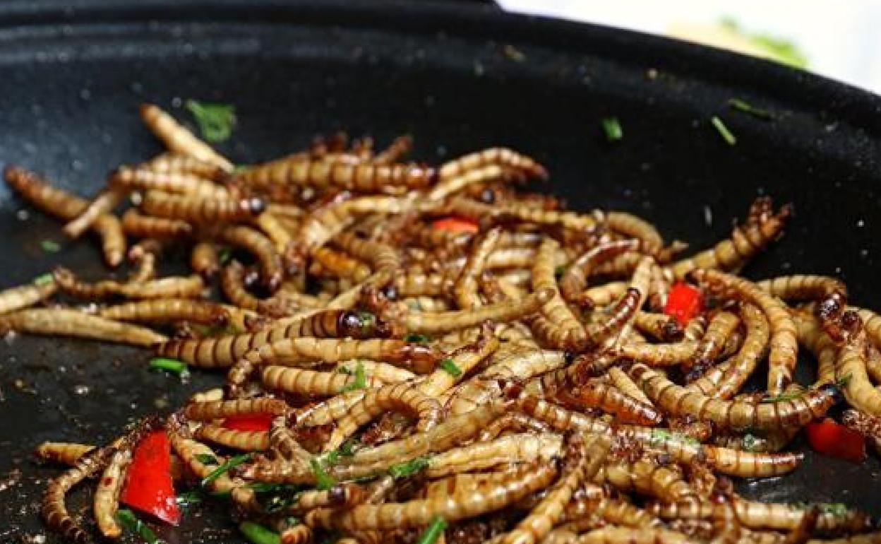 Los insectos comestibles que ya se venden en los supermercados españoles