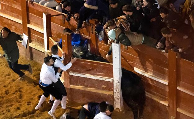 Tres heridos, uno de ellos de Valladolid, al entrar un toro en un burladero en Ciudad Rodrigo