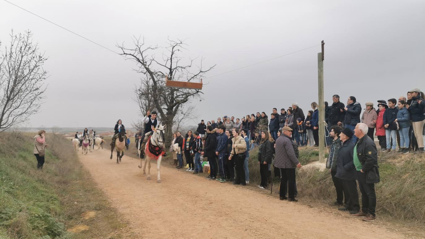 Uno de los quintos de Torrelobatón engancha una cinta con el punzón 