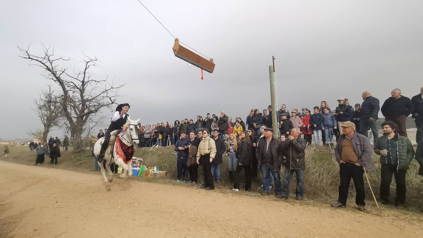 Uno de los quintos de Torrelobatón engancha una cinta con el punzón 