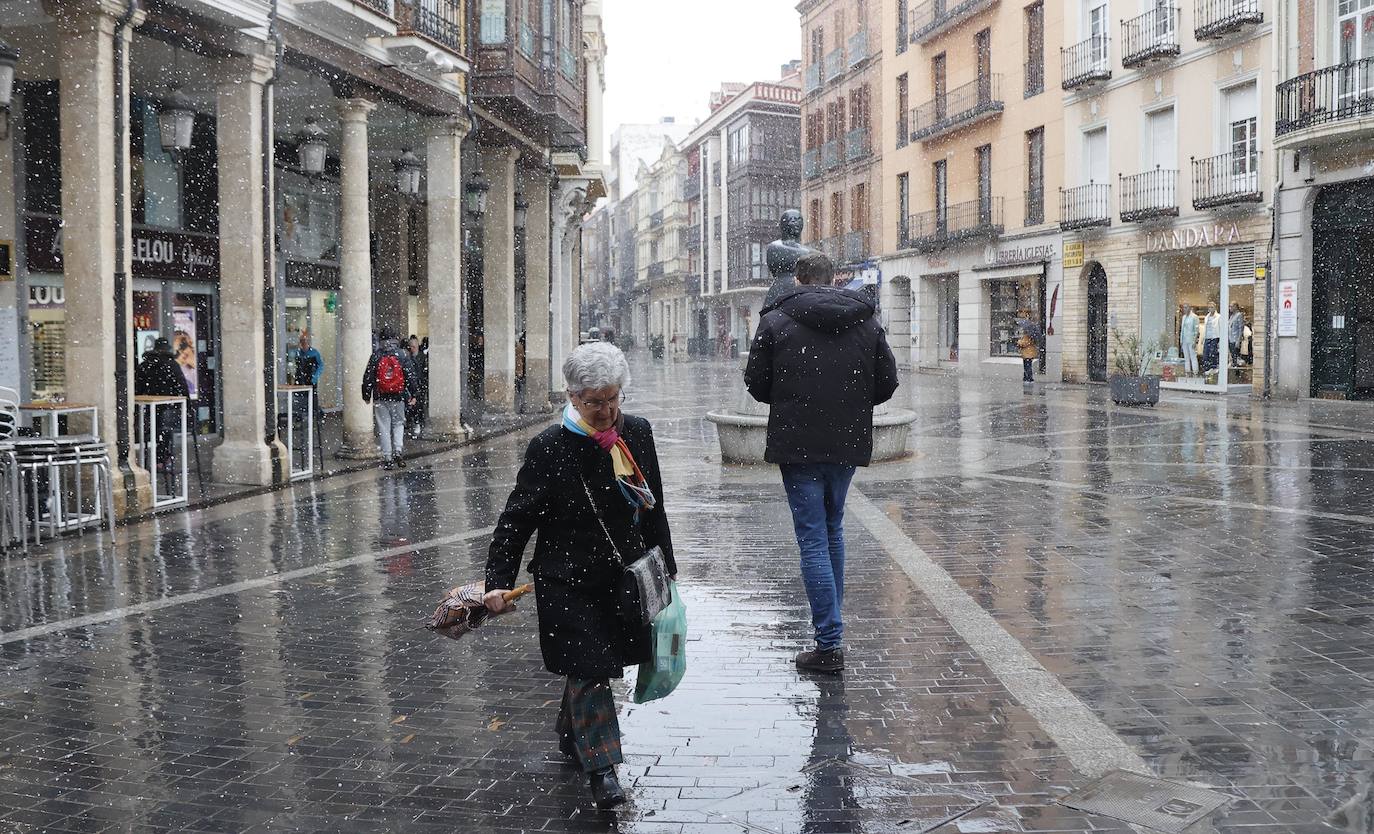 Fotos: La capital palentina recibe intensos copos