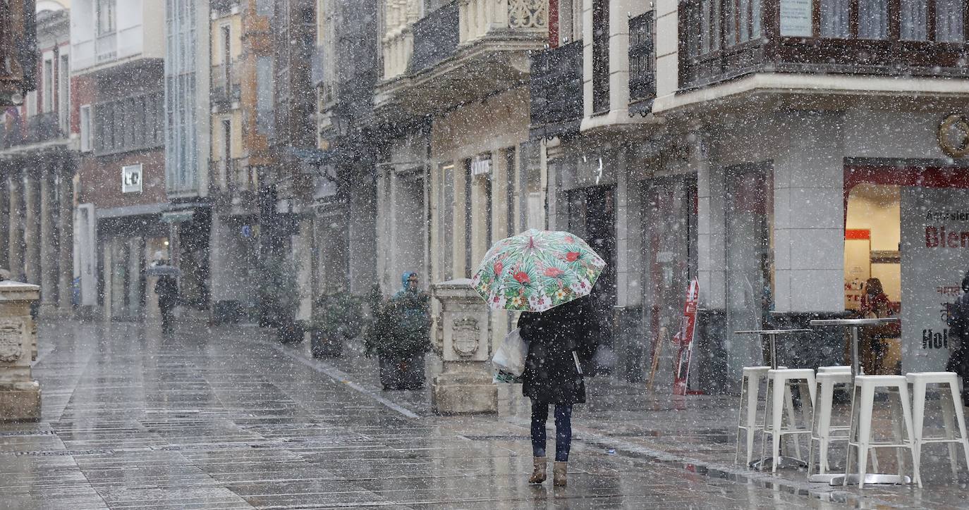 Fotos: La capital palentina recibe intensos copos