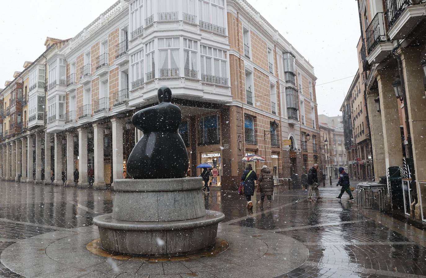 Fotos: La capital palentina recibe intensos copos