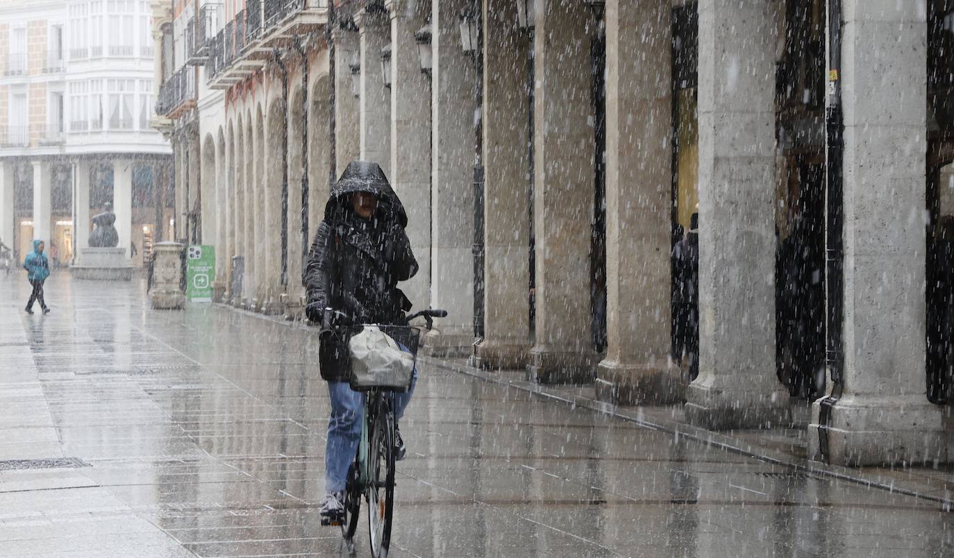 Fotos: La capital palentina recibe intensos copos