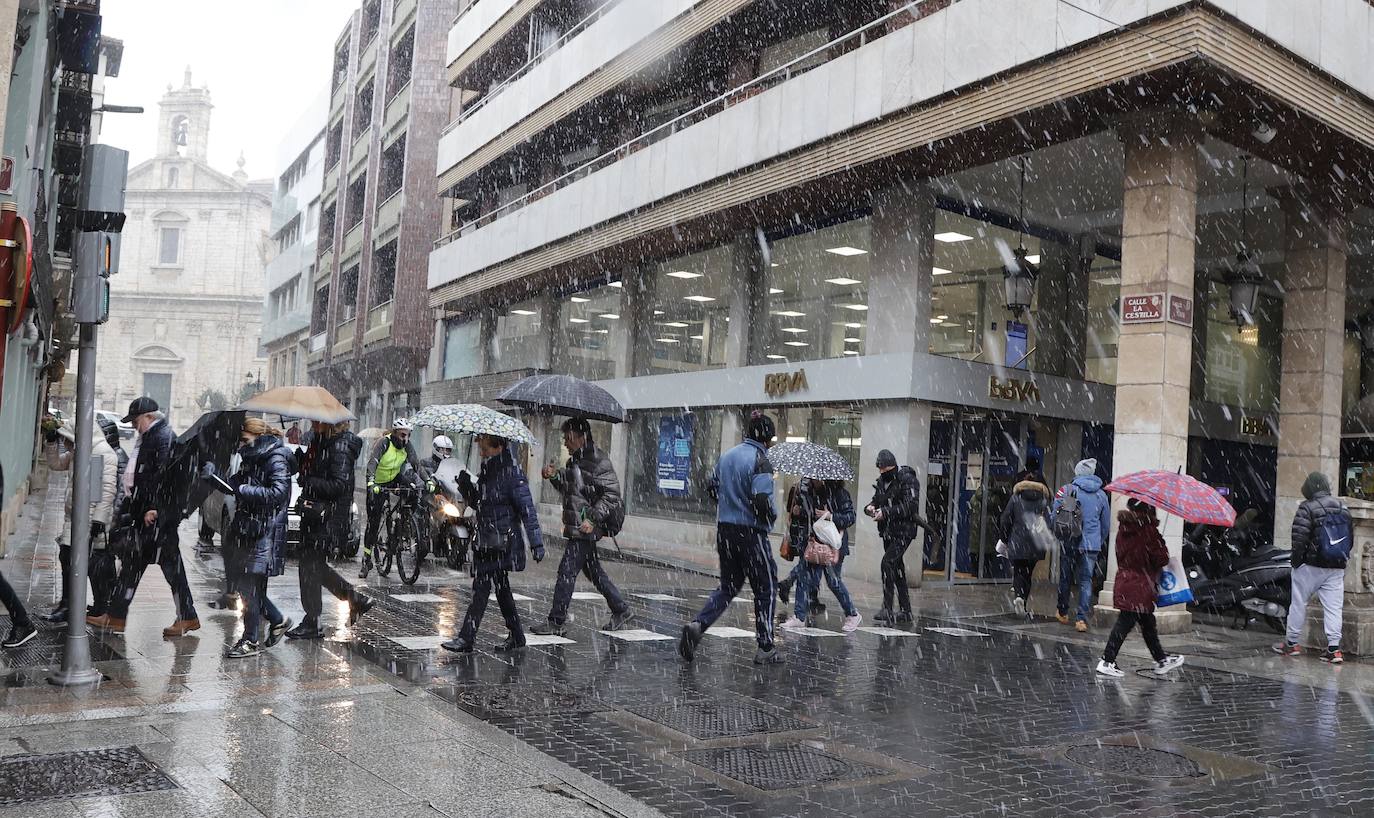 Fotos: La capital palentina recibe intensos copos