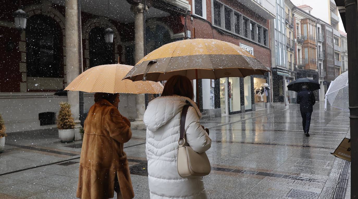 Fotos: La capital palentina recibe intensos copos