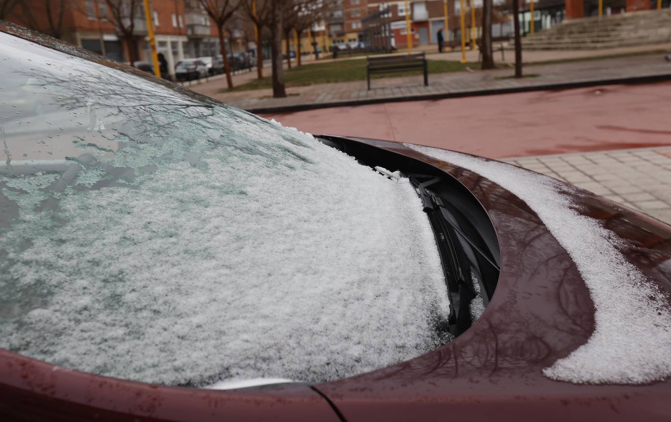 Fotos: La capital palentina recibe intensos copos