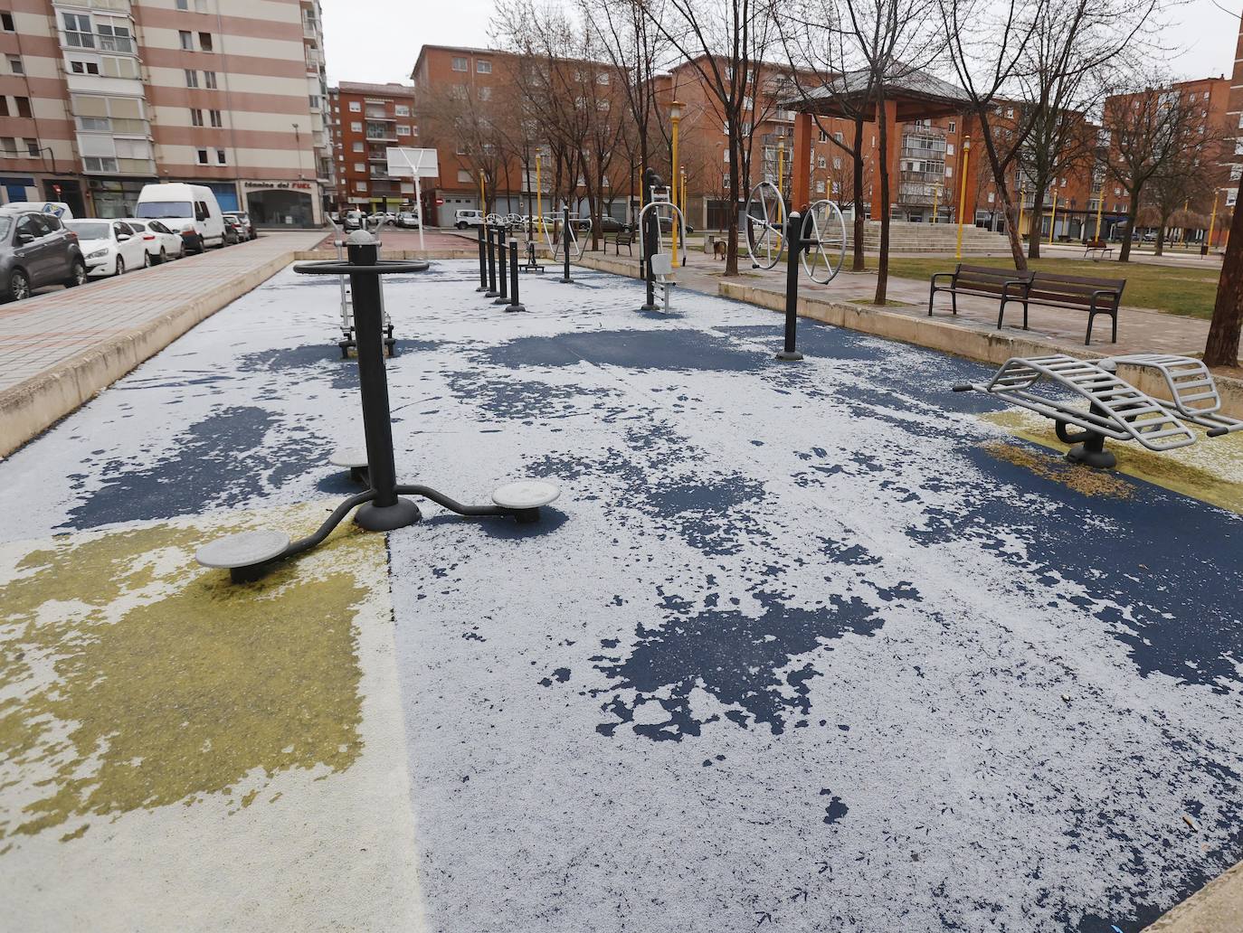 Fotos: La capital palentina recibe intensos copos