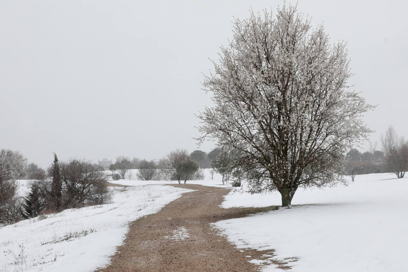 Fotos: Nieva en Valladolid capital