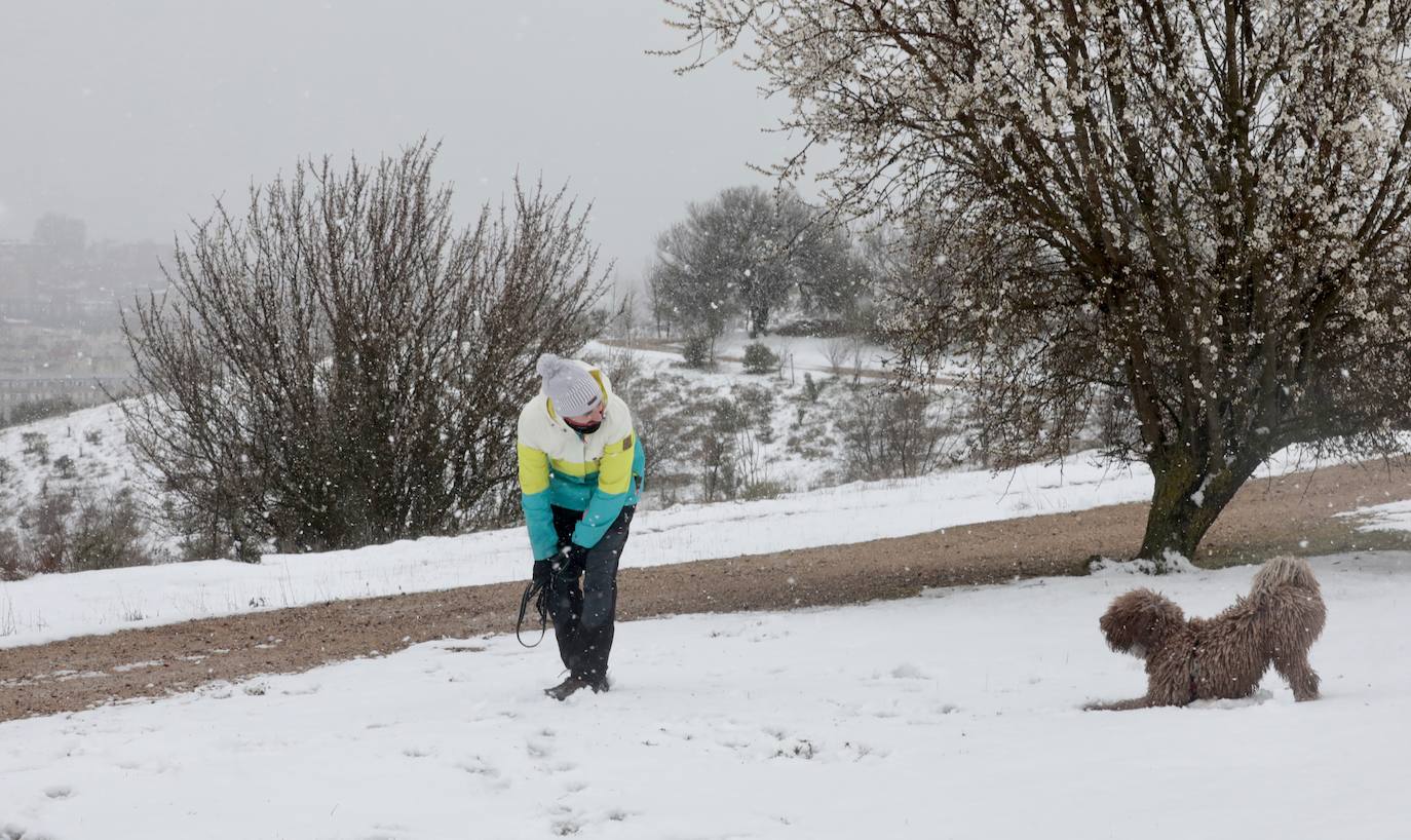 Fotos: Nieva en Valladolid capital