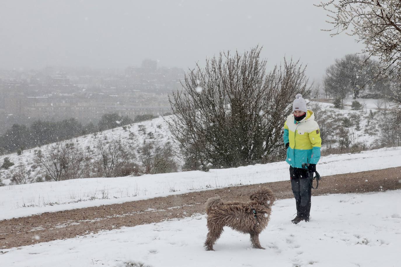 Fotos: Nieva en Valladolid capital