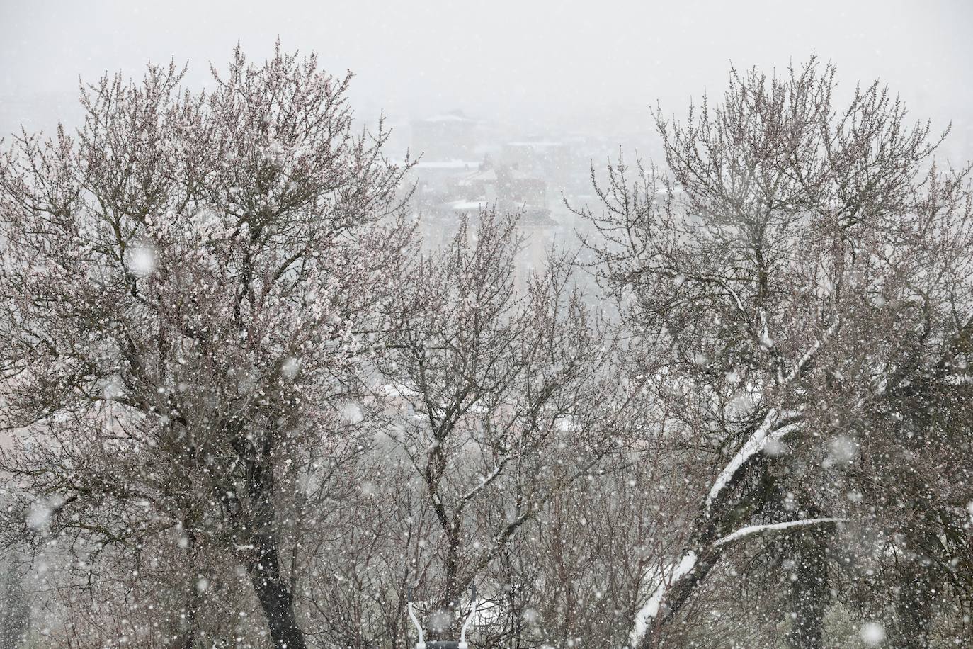 Fotos: Nieva en Valladolid capital