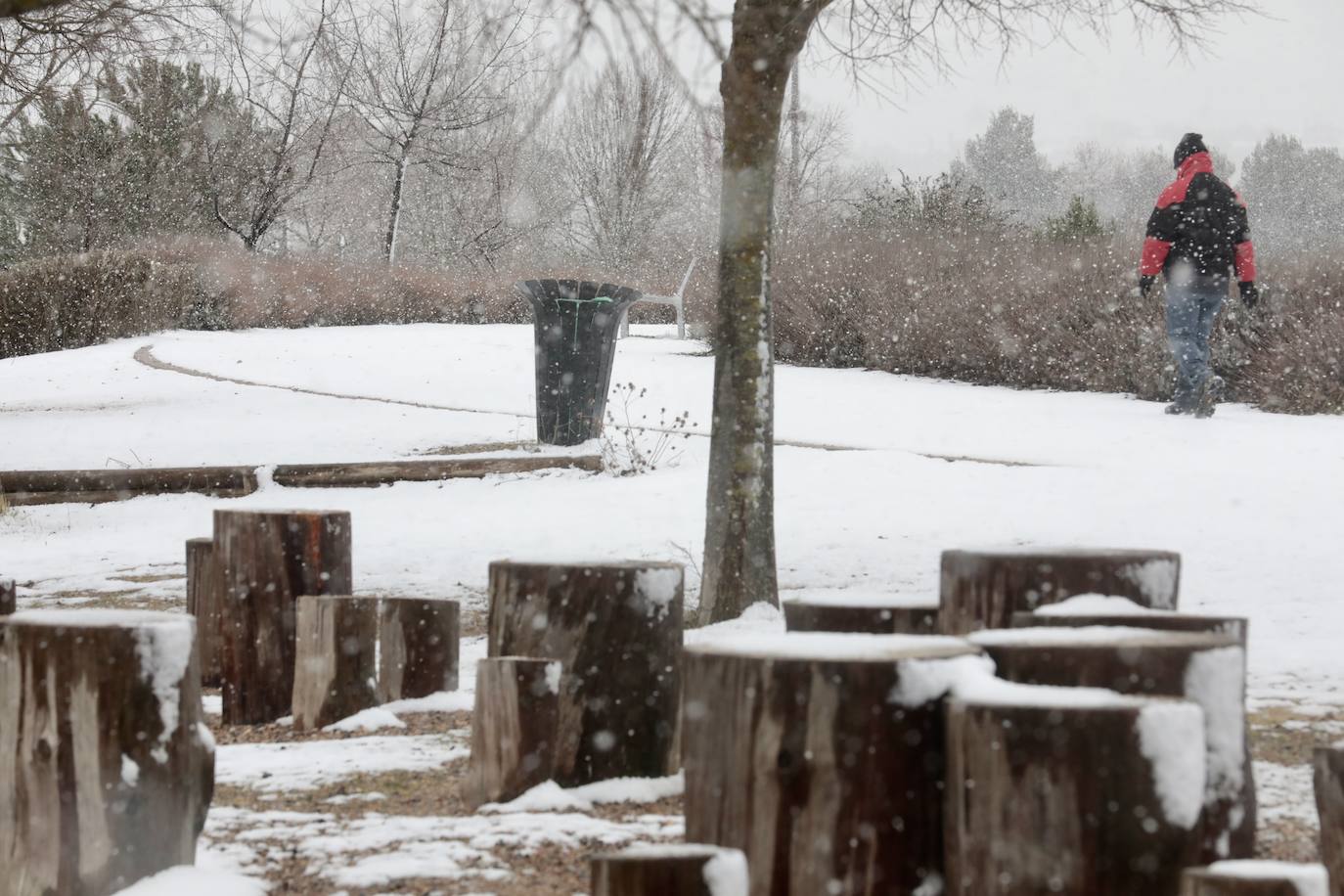 Fotos: Nieva en Valladolid capital