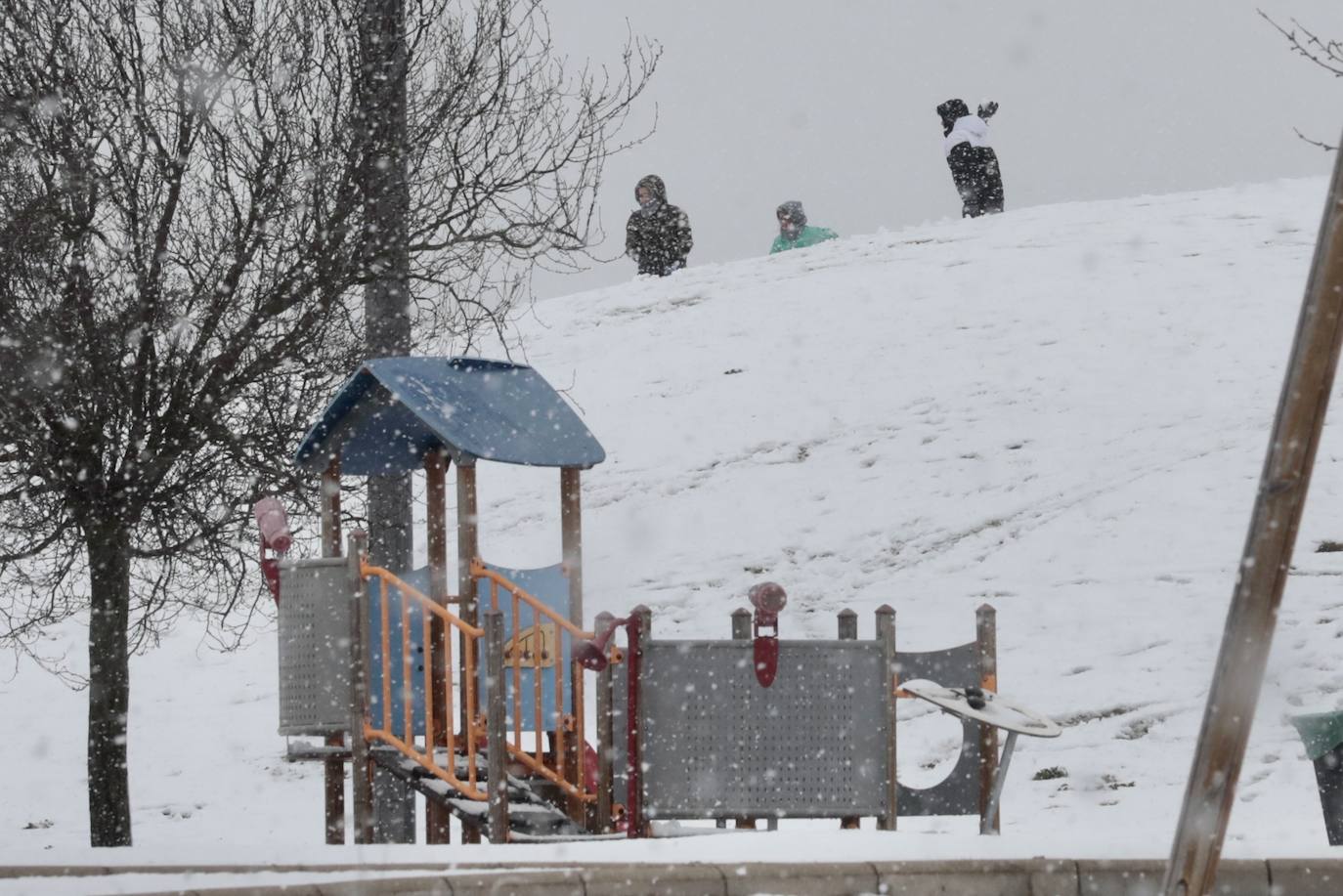 Fotos: Nieva en Valladolid capital