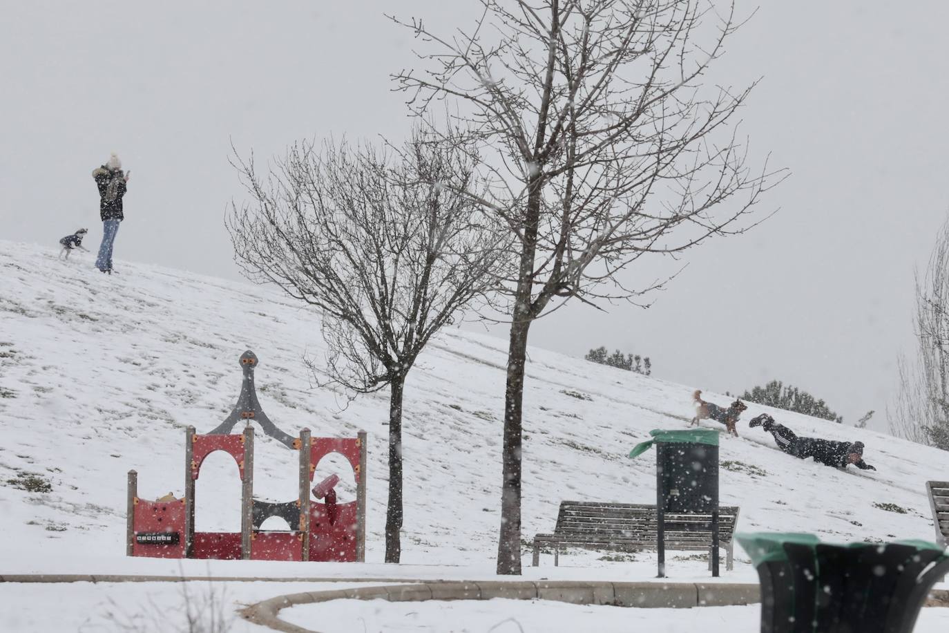 Fotos: Nieva en Valladolid capital