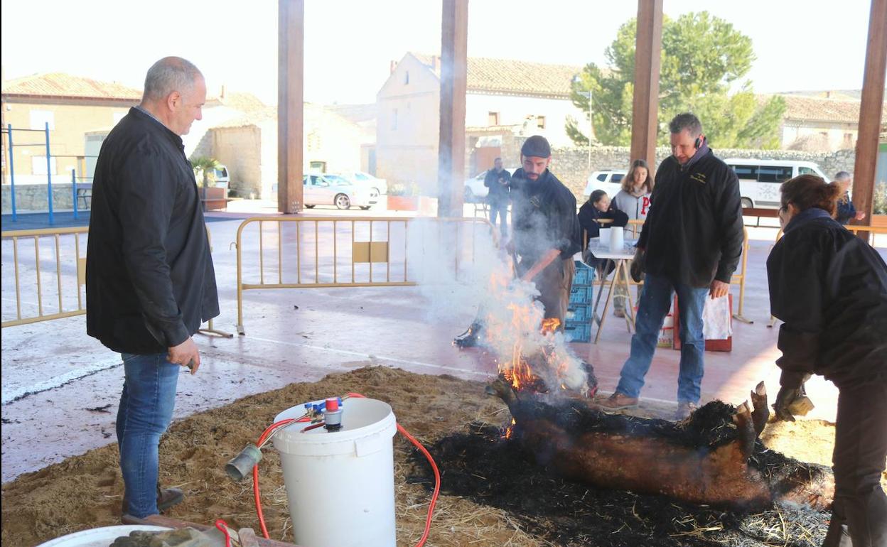 Chamuscado tradicional del cerdo, este sábado en Herrera de Valdecañas. 