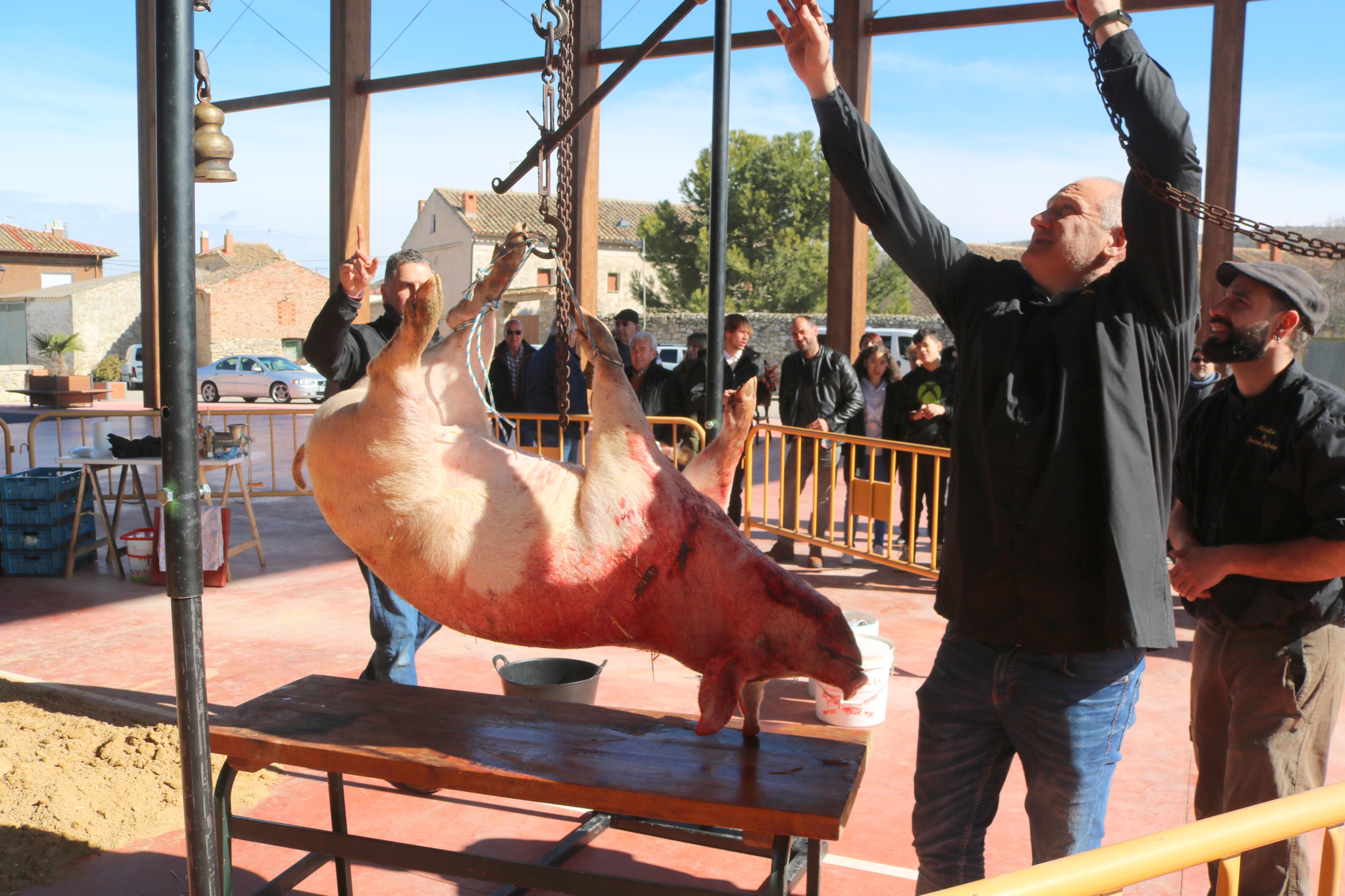 Herrera de Valdecañas celebra una animada Fiesta de la Matanza