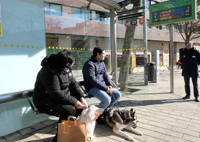 Imagen secundaria 1 - Picando la tarjeta, esperando al bus y luciendo su nuevo bono canino.