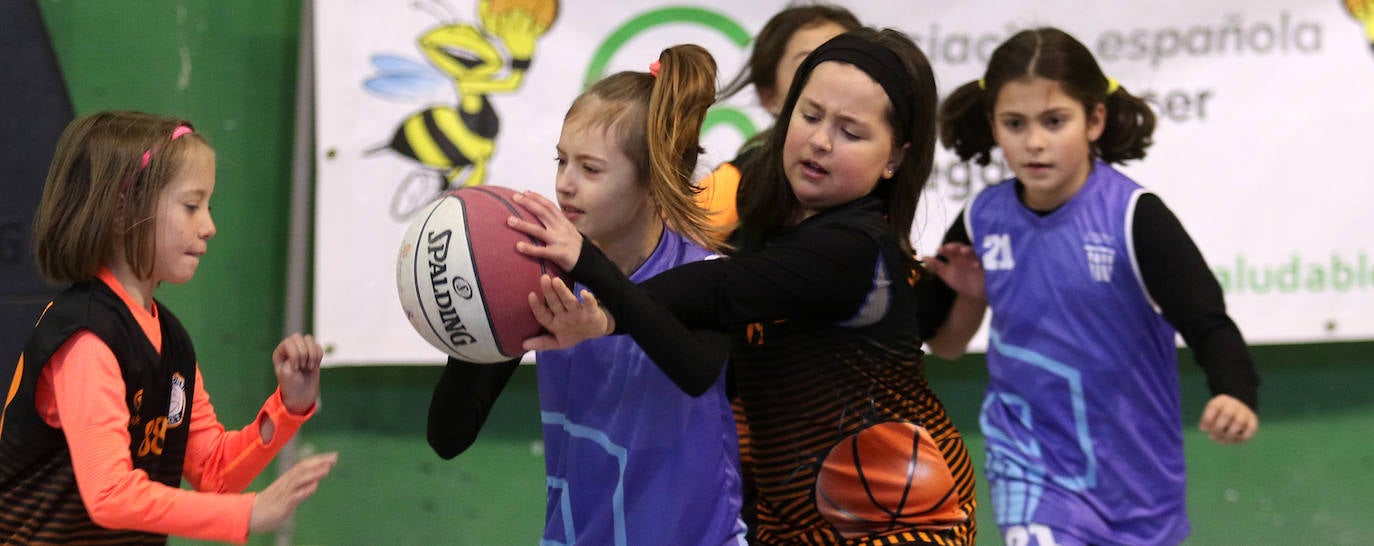 Jornada de la Liga Avispa Calixta. 