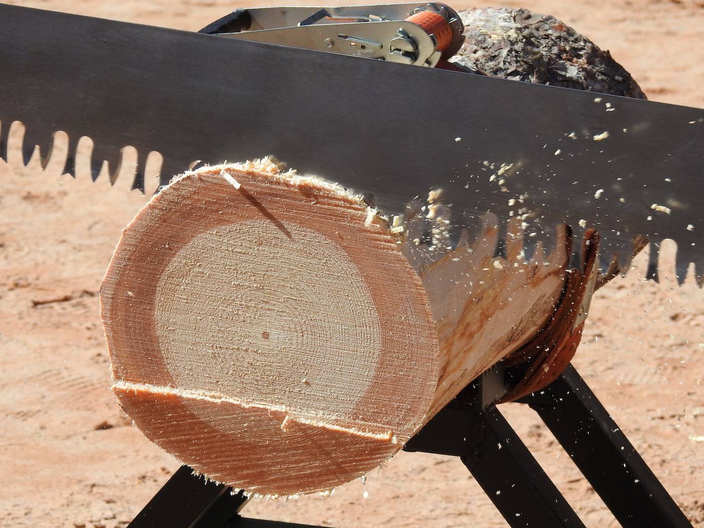 Fiesta de los gabarreros en Riaza